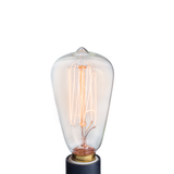 Light Bulbs: NP3 Bulb Edison