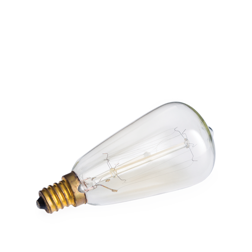 Light Bulbs: NP3 Bulb Edison