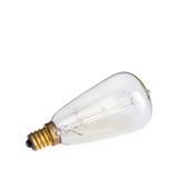 Light Bulbs: NP3 Bulb Edison