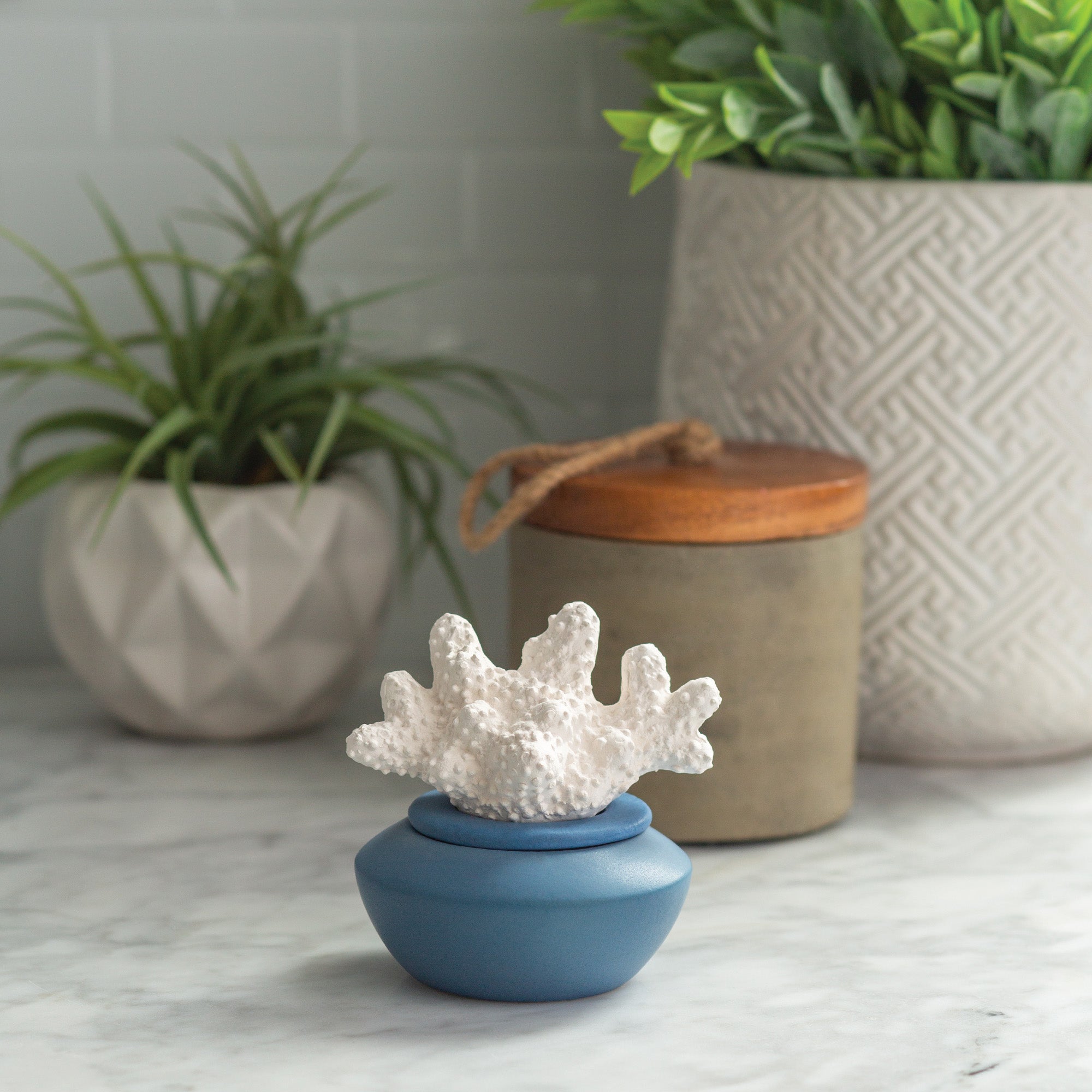 Candles & Diffusers: Coral Porcelain Passive Diffuser