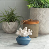 Candles & Diffusers: Coral Porcelain Passive Diffuser