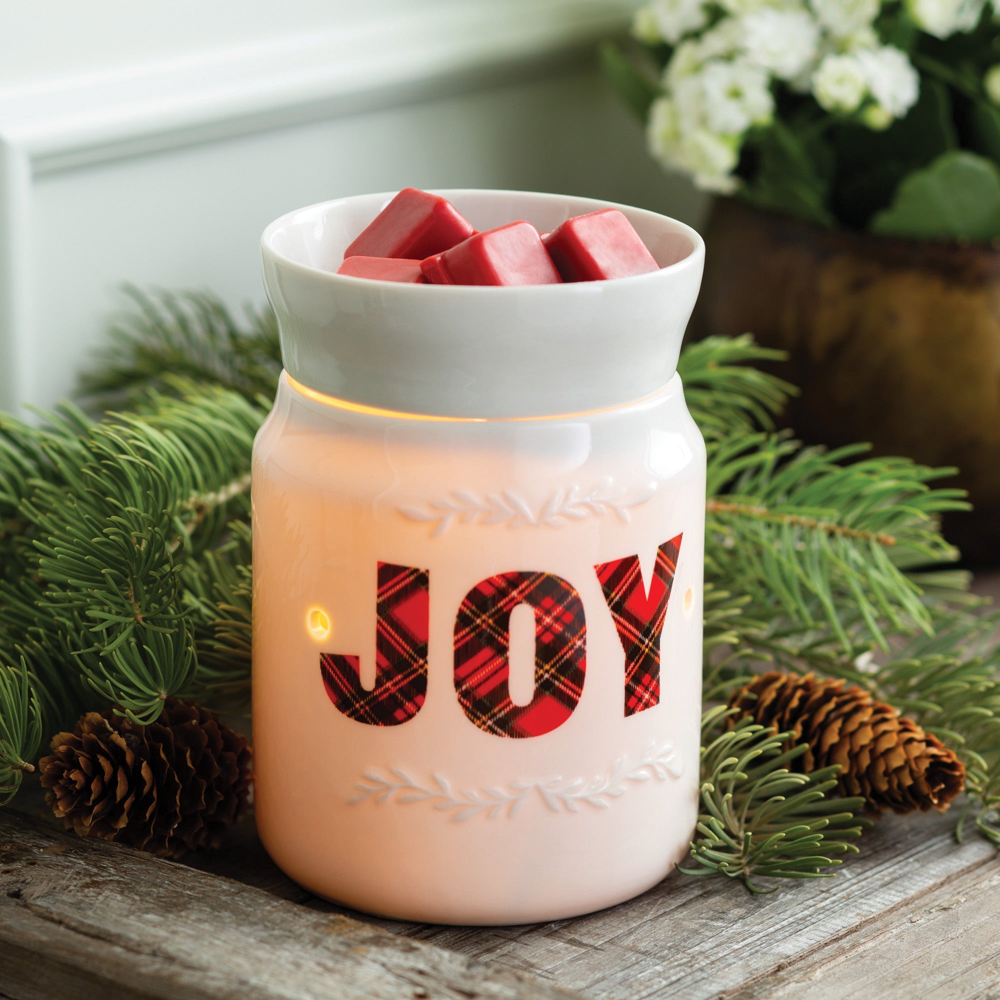 Candles & Diffusers: Joy Illumination Warmer