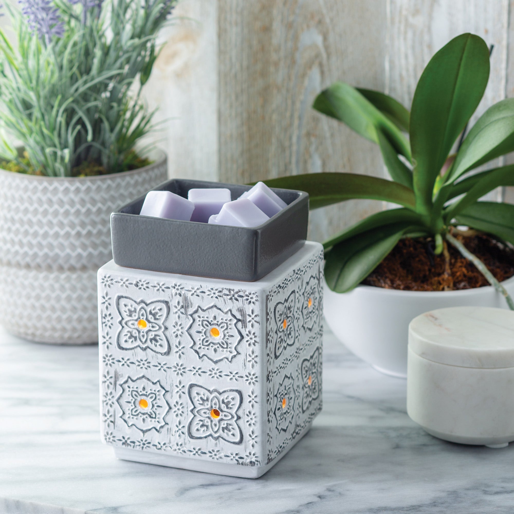 Candles & Diffusers: Modern Cottage Illumination Warmer