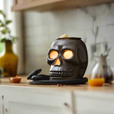 Candles & Diffusers: Skull Illumination Warmer