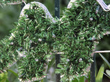 Outdoor Decorations & Lights: Samland 5.5m Merry Christmas Sign Led Rope Light Commercial