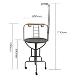 Bird Cages & Stands: Samland THE GRAFFICO PLAY TOP STAND FOR BIRD PARROT CAGE MATE