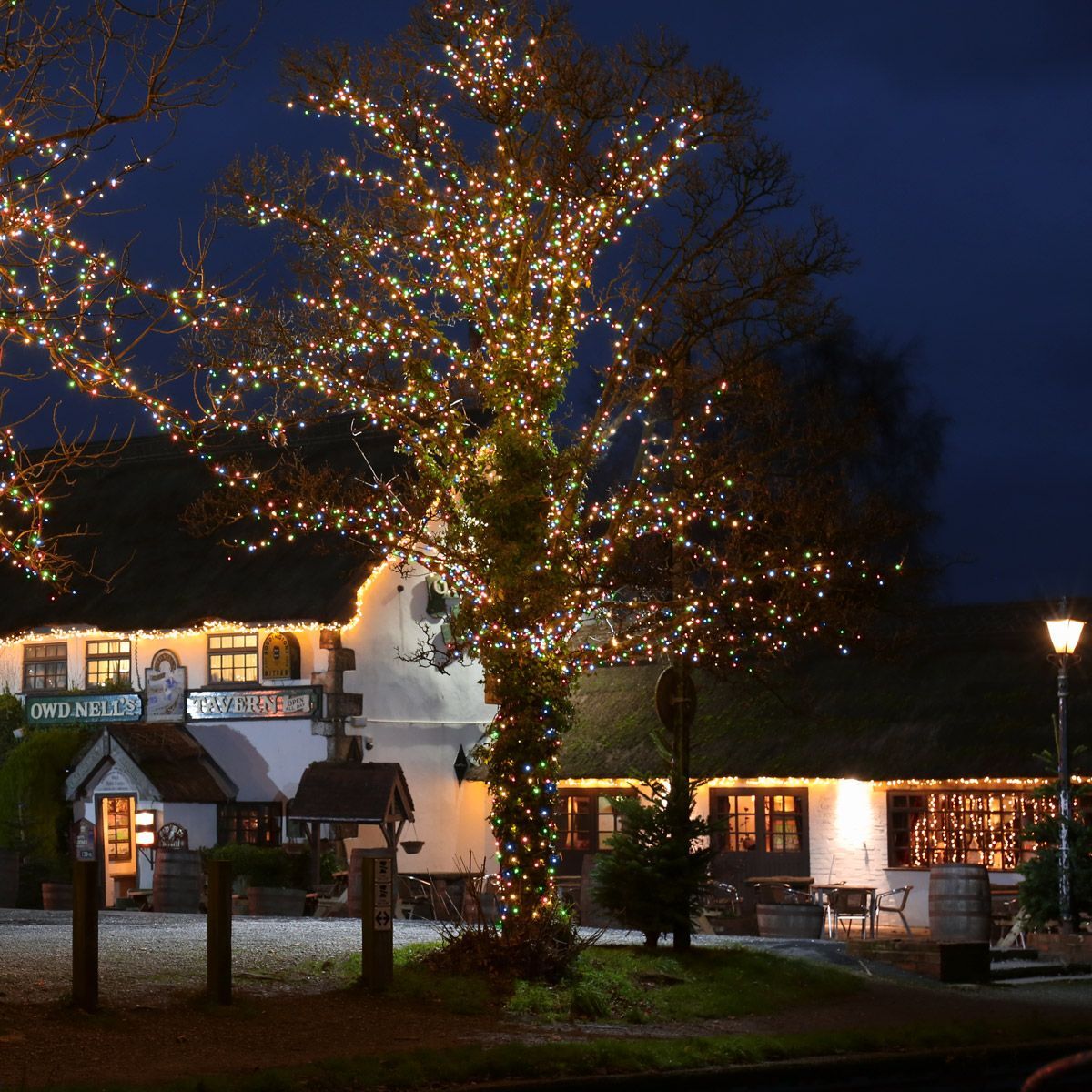 Outdoor Decorations & Lights: Samland 1200 Led Christmas Fairy Light Multi Colour