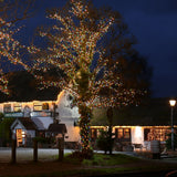Outdoor Decorations & Lights: Samland 1200 Led Christmas Fairy Light Multi Colour