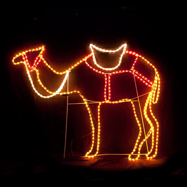 Outdoor Decorations & Lights: Samland Wise Men'S Camel Led Christmas Motif Rope Light Nativity
