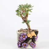 Cute, hand painted bear succulent pot. Random design