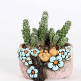 Cute, hand painted bear succulent pot. Random design