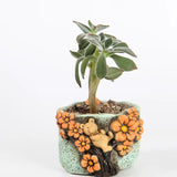 Cute, hand painted bear succulent pot. Random design