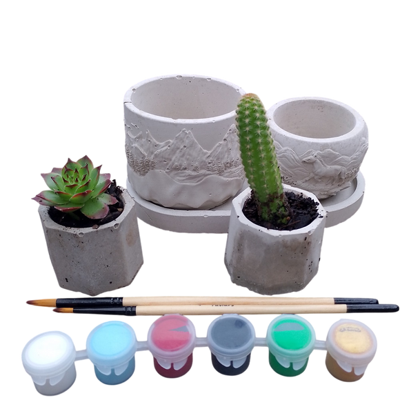 Succulent planter, landscape kit