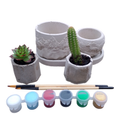 Succulent planter, landscape kit