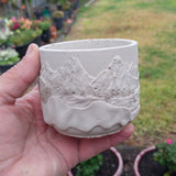 Succulent planter, landscape kit