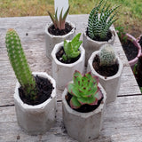 Succulent planter, landscape kit