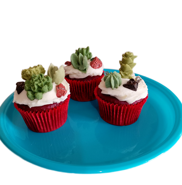 Chocolate succulent cupcake toppers