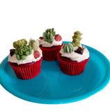 Chocolate succulent cupcake toppers
