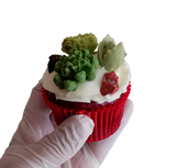 Chocolate succulent cupcake toppers