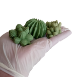 Chocolate succulent cupcake toppers