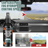 Rayhong Car Windshield Spray, Windshield Rearview Mirror Cleaning, Stain Removal, Hydrophobic Water Repellent, Anti-Fog Agent
