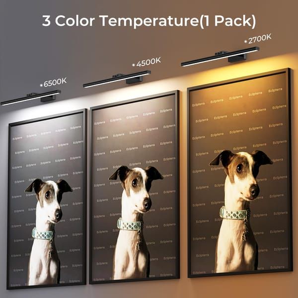 Modern LED Picture Light for Art Display, Sleek Black Finish