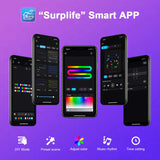 Outdoor Decorations & Lights: Bluetooth Colorful G40 Led Bulb String Lights