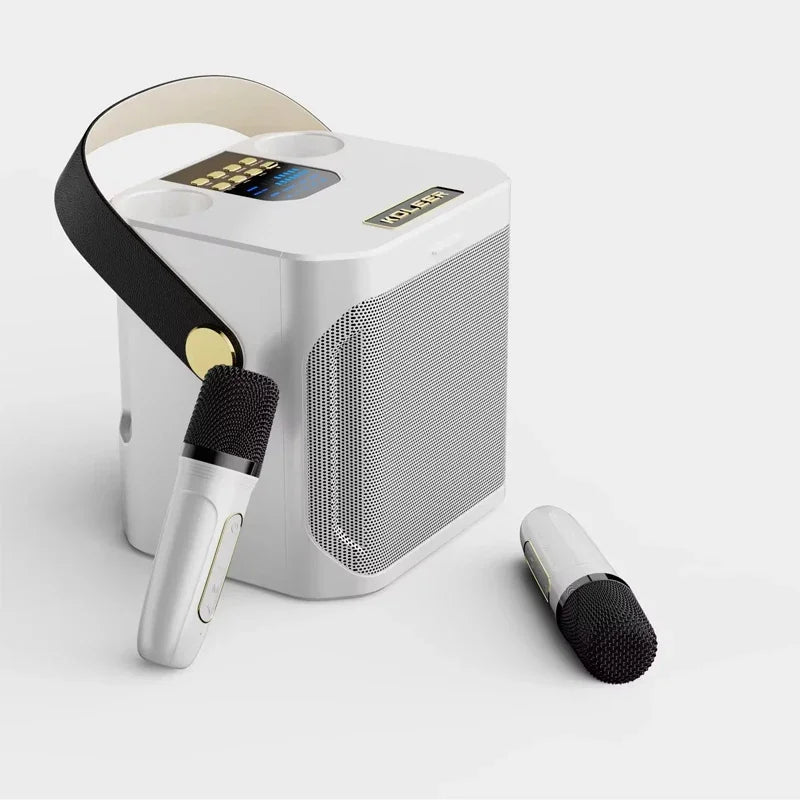 High Power Karaoke Bluetooth Speaker With Dual Microphone
