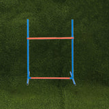 Dog Training Aids: Dog Agility Training Set for Pets