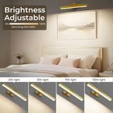 Wall Lights: Picture Lights for Wall, Battery Operated Picture Light 16in Gallery Light for Paintings CCT Dimmable Gold