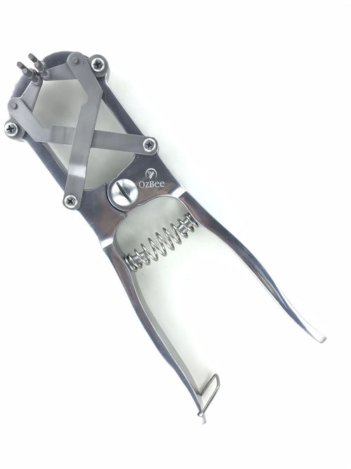 Kitchen & Bathroom DIY: Cattle Lamb Sheep Stainless Steel Elastrator Castrating Plier with 100 Rubber