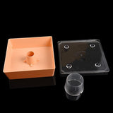 Dog Bowls, Feeders & Waterers: Bee Hive Top Feeder Bee Feeder Bee Hive Beekeeper Water Drink Feeding 4PCS