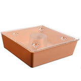 Dog Bowls, Feeders & Waterers: Bee Hive Top Feeder Bee Feeder Bee Hive Beekeeper Water Drink Feeding 4PCS