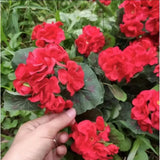 Artificial Flowers Peach Color