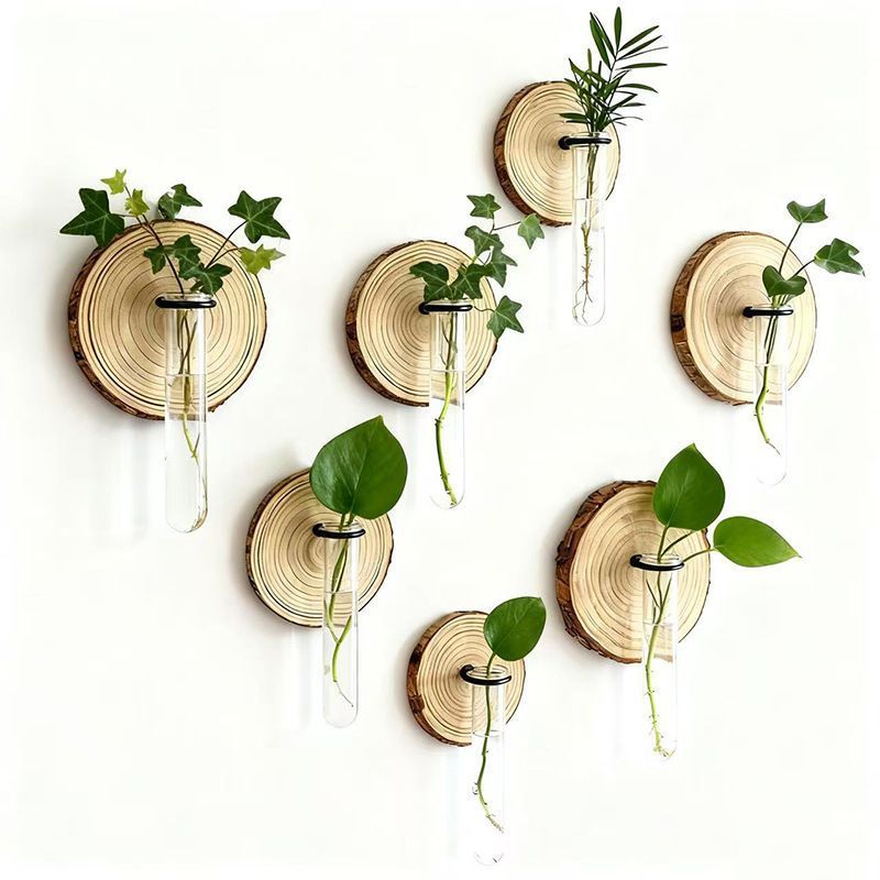 Creative Test Tube Hydroponic Vase-Set of 6