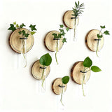 Creative Test Tube Hydroponic Vase-Set of 6