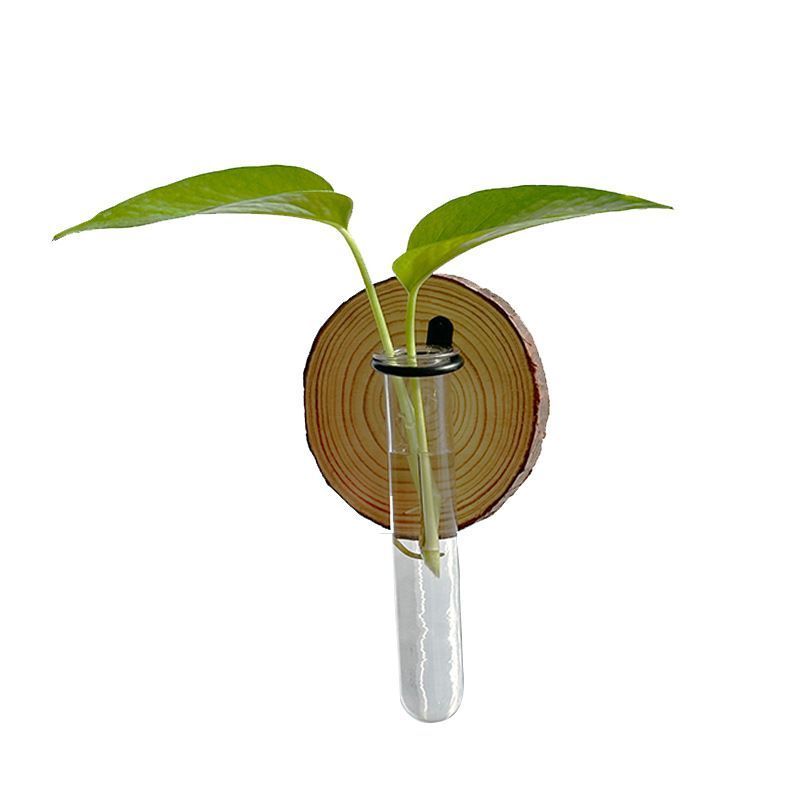 Creative Test Tube Hydroponic Vase-Set of 6