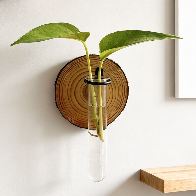 Creative Test Tube Hydroponic Vase-Set of 6
