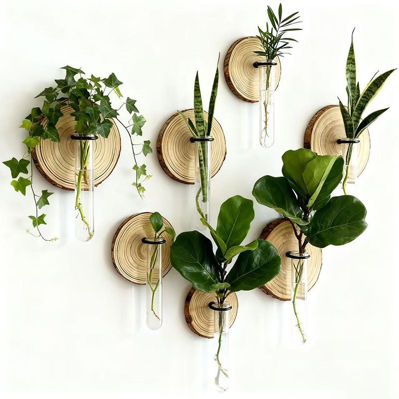 Creative Test Tube Hydroponic Vase-Set of 6