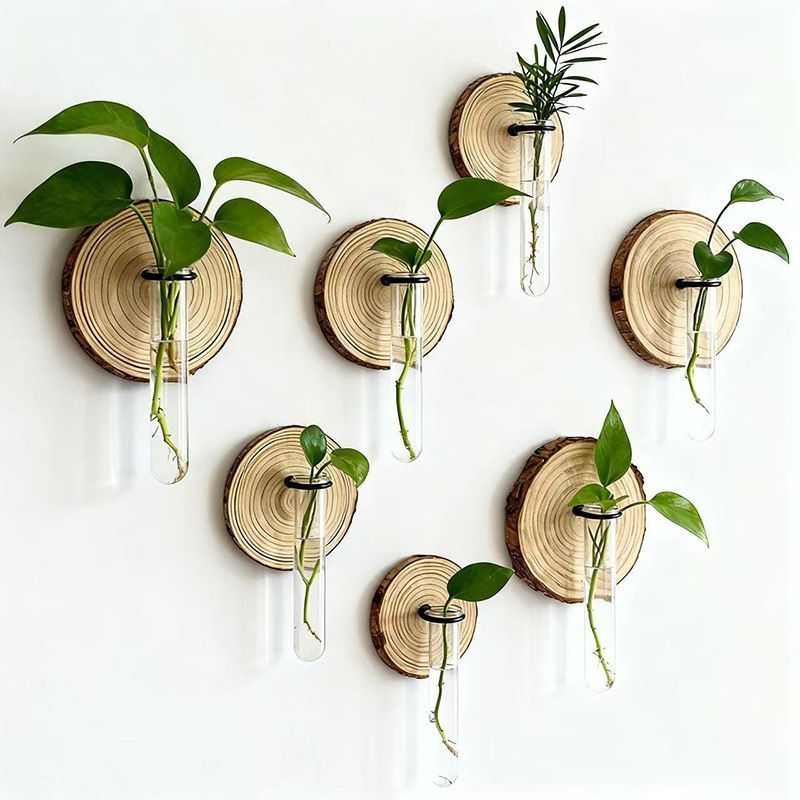 Creative Test Tube Hydroponic Vase-Set of 6