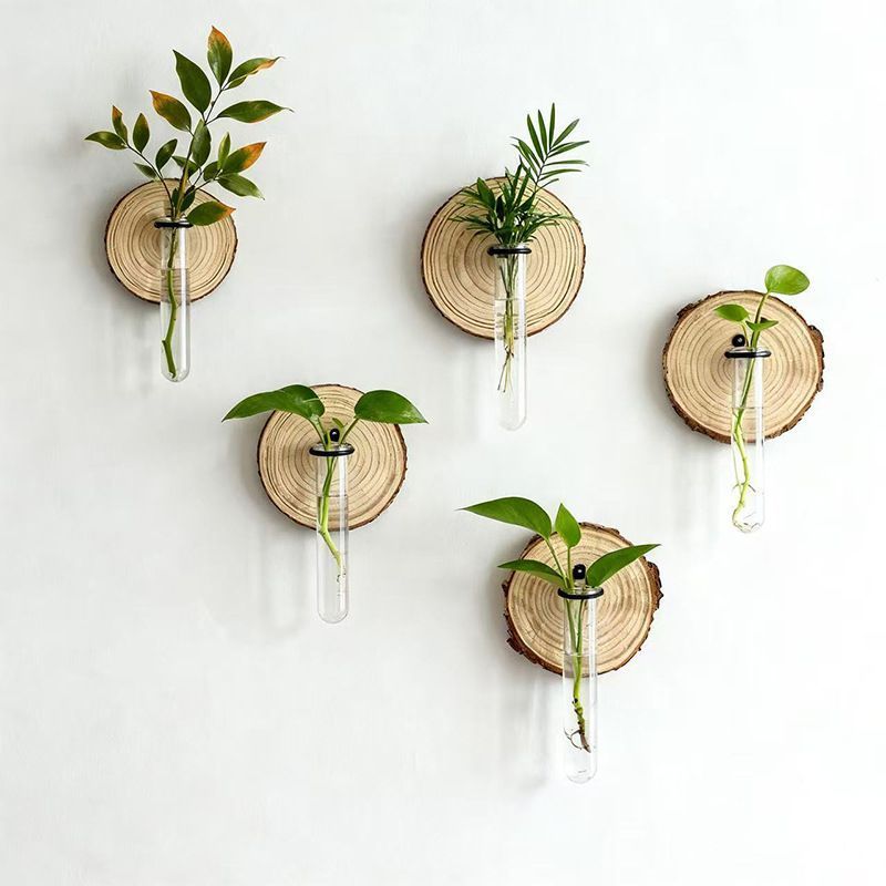 Creative Test Tube Hydroponic Vase-Set of 6