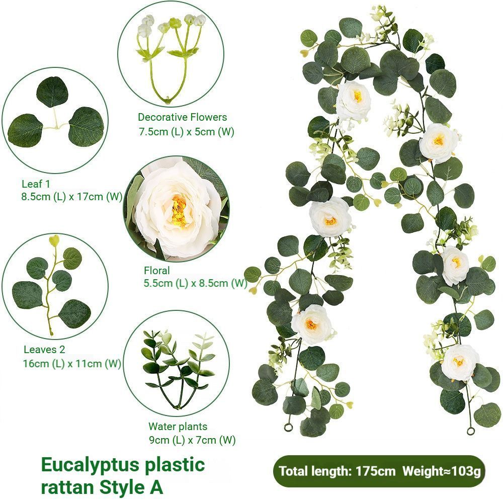 Eucalyptus Rattan - 36 Heads-A