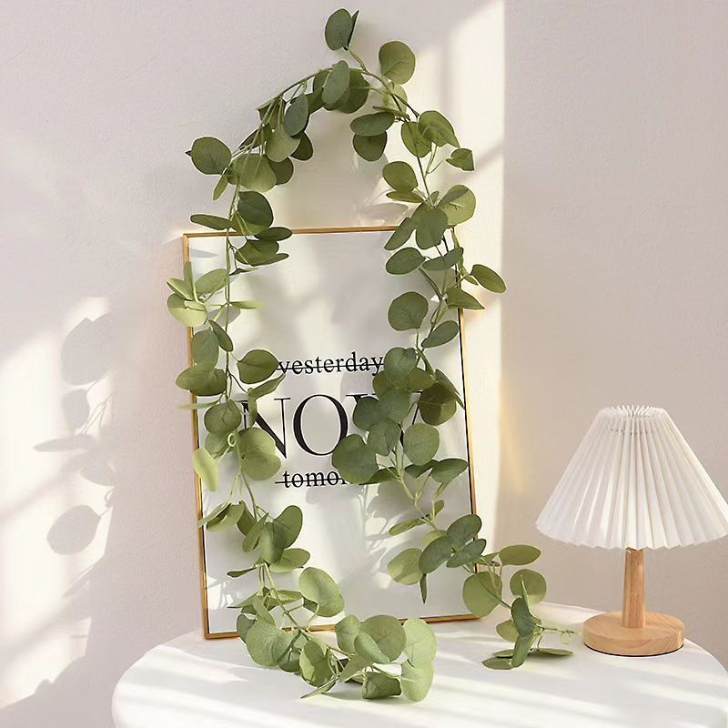 Eucalyptus Rattan-48 Heads 3 Forks