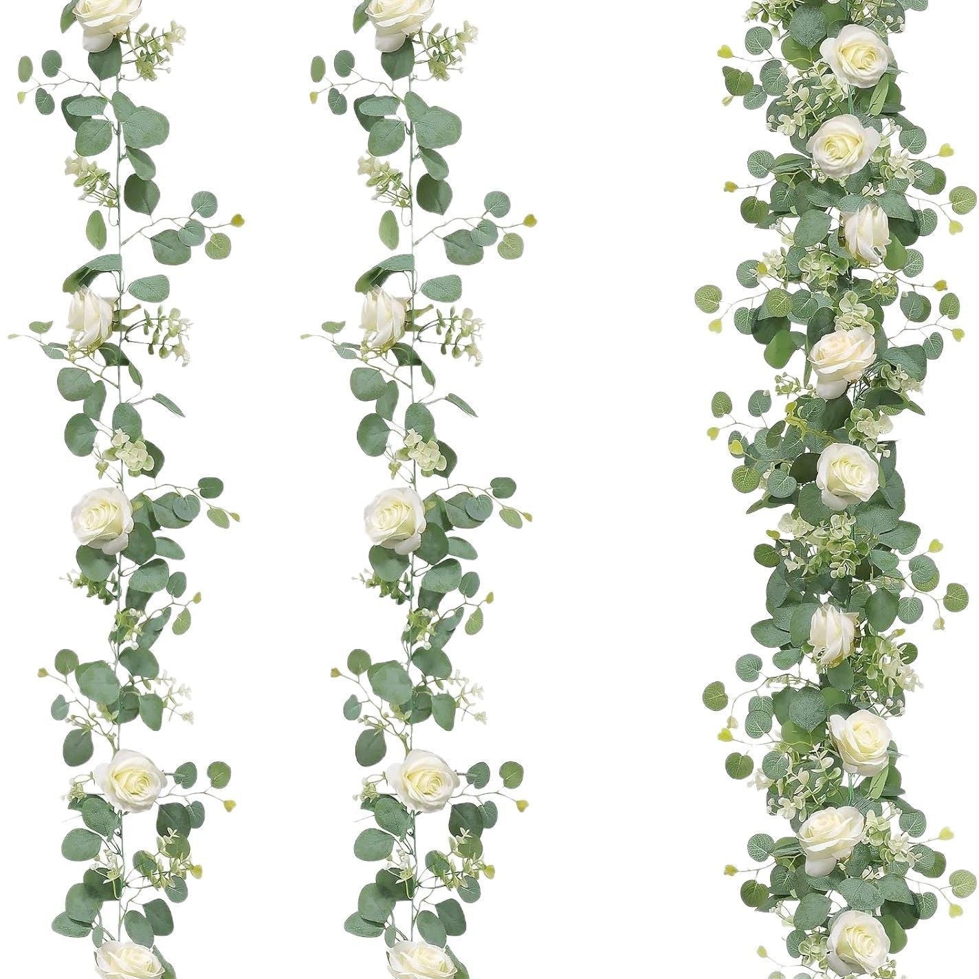 Eucalyptus Rattan - 60 Heads