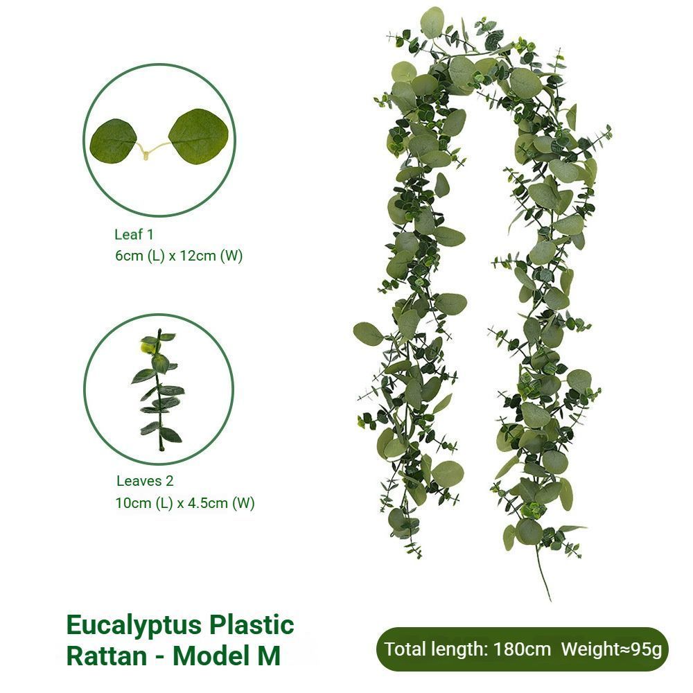 Eucalyptus Rattan - 60 Heads