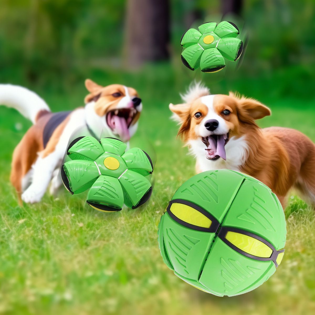 Frisbee Deformation Ball - green + 6 Light Version×5
