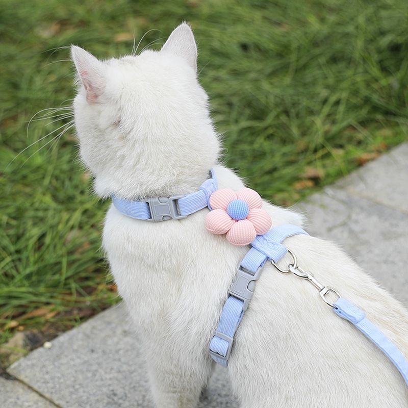 Pet Harness-Blue+1.8m Leash+Size M