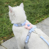 Pet Harness-Blue+1.8m Leash+Size S