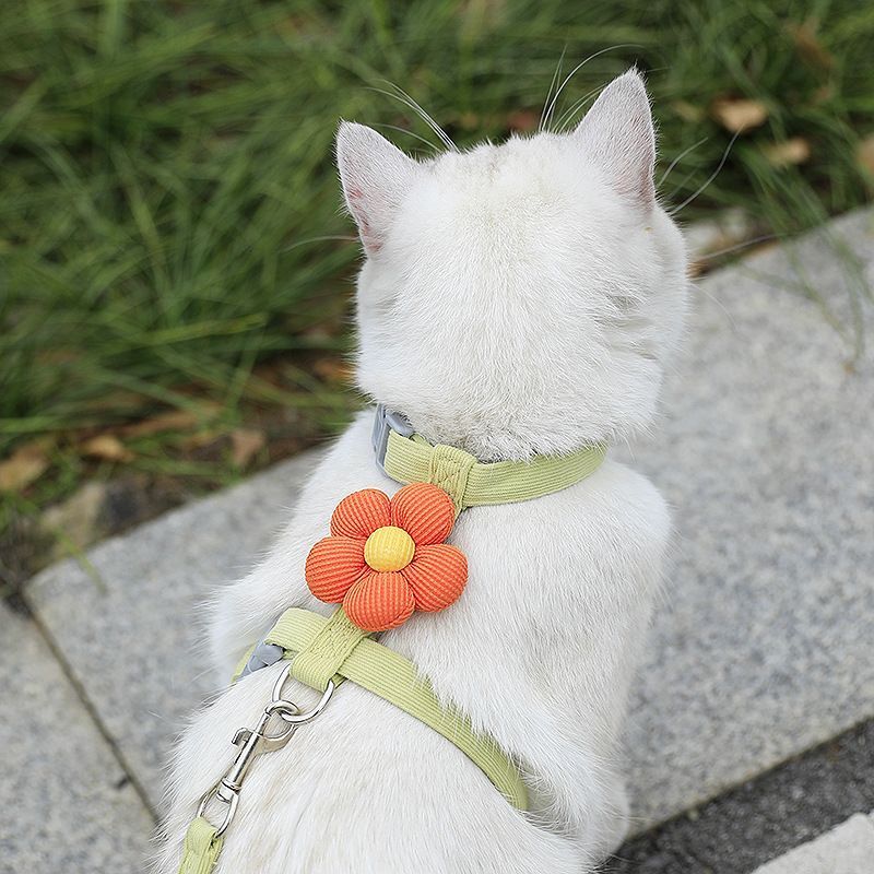 Pet Harness-green+1.2m Leash+Size M