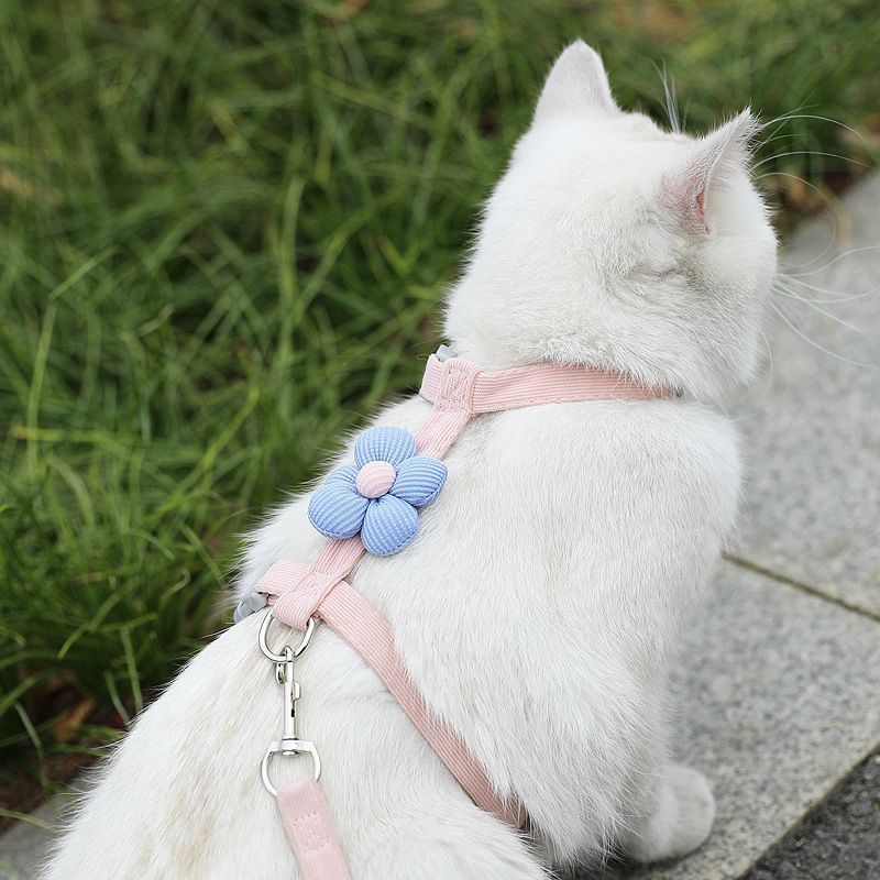 Pet Harness-pink+1.2m Leash+Size M